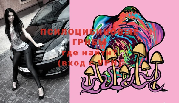 mdpv Лабытнанги