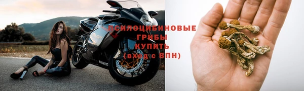 молекула духа Краснотурьинск