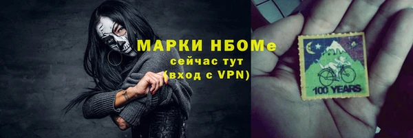 сатива Кулебаки