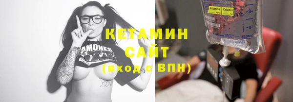 сатива Кулебаки