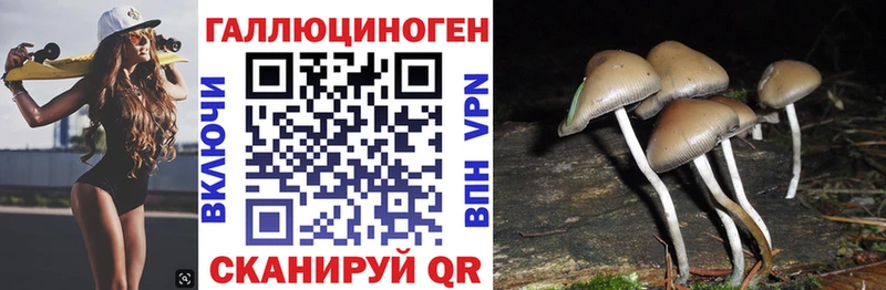 Галлюциногенные грибы Magic Shrooms  это состав  Киреевск  omg tor 